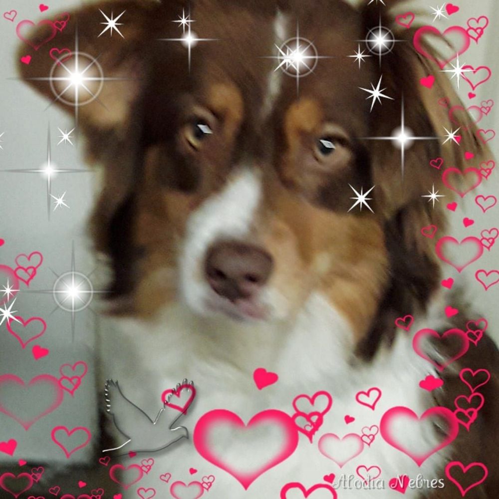 Meet your Posher, Penny